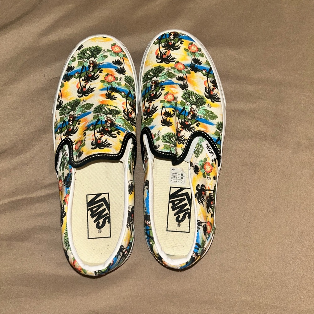 Vans Multicolor Slip-On Shoes
